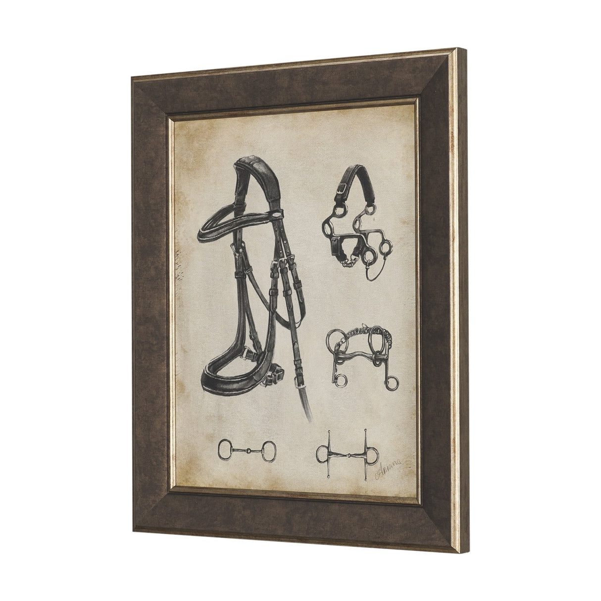Equestrian Collection by Mercana Studio Textured Framed (Set of 6) by Mercana at Eve Furniture
