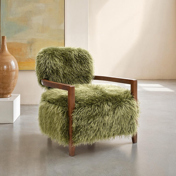 Eramo Green Accent Chair by Furniture of America at Eve Furniture