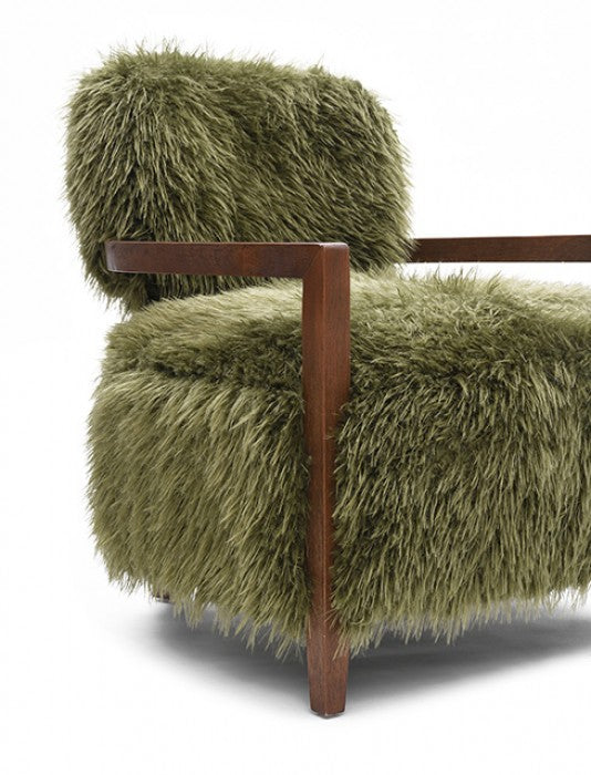 Eramo Green Accent Chair by Furniture of America at Eve Furniture