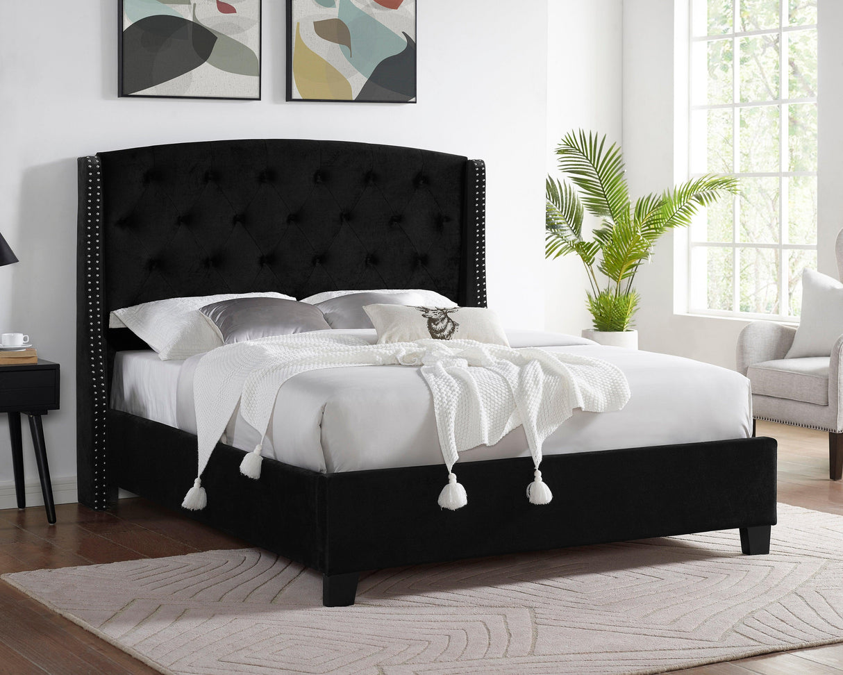 Eva Black Velvet Queen Upholstered Bed by Crown Mark at Eve Furniture