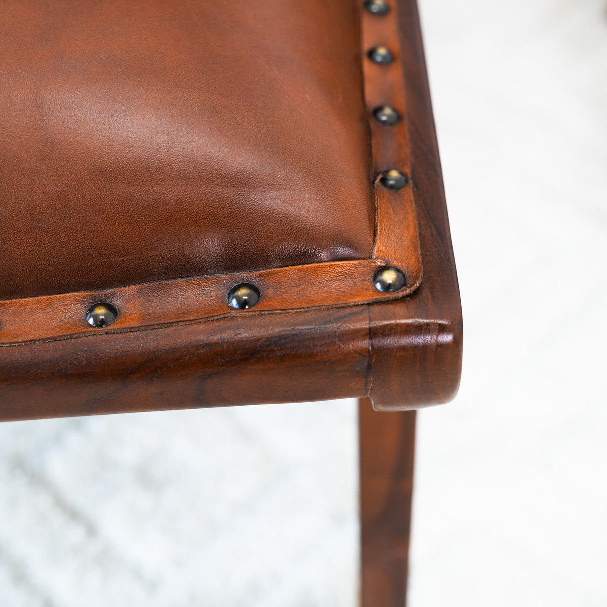 Everett Tan Leather Lounge Chair by Ashcroft Furniture at Eve Furniture