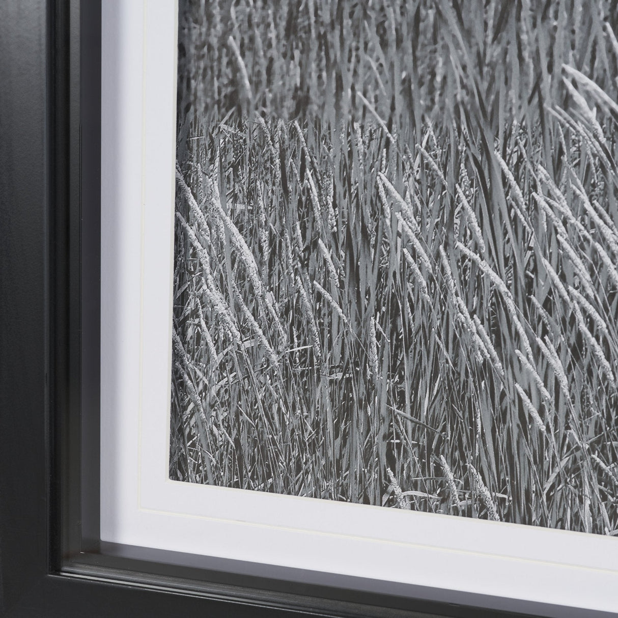 Farm Serenity I by Leda Robertson Textured FramedPhoto Print Matted under Glass by Mercana at Eve Furniture