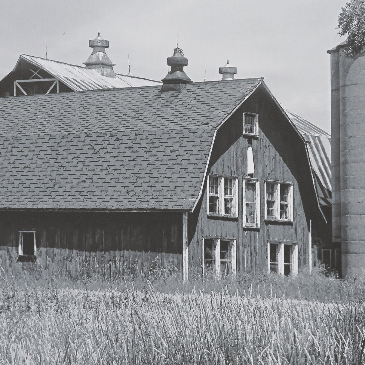 Farm Serenity I by Leda Robertson Textured FramedPhoto Print Matted under Glass by Mercana at Eve Furniture
