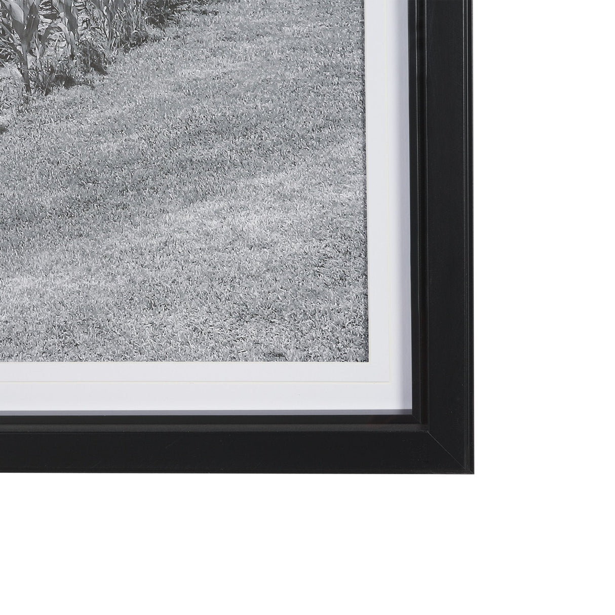 Farm Serenity II by Leda Robertson Textured FramedPhoto Print Matted under Glass by Mercana at Eve Furniture