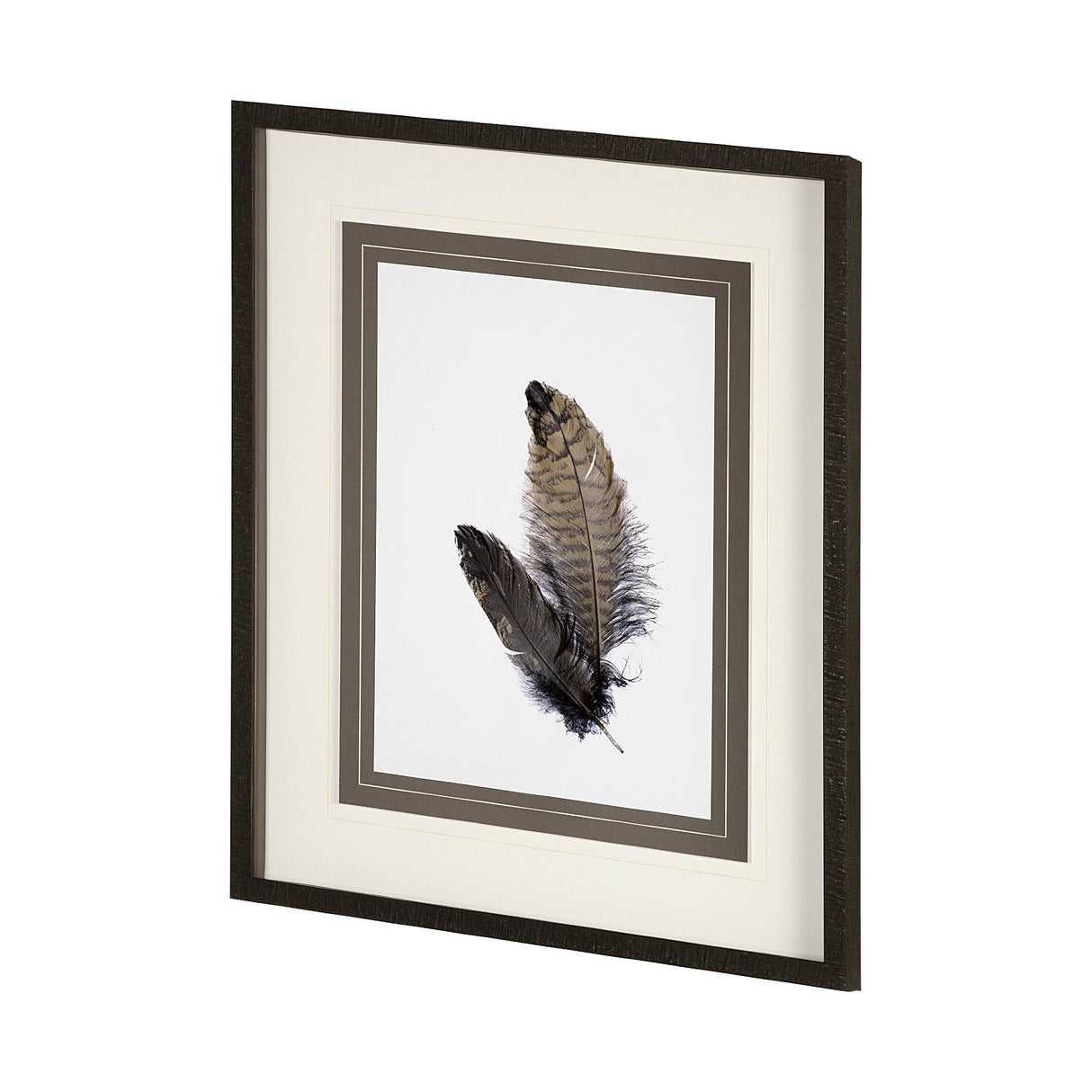 Feathered Friends by Nancy Crowell a Framed Art Print Matted under Glass by Mercana at Eve Furniture