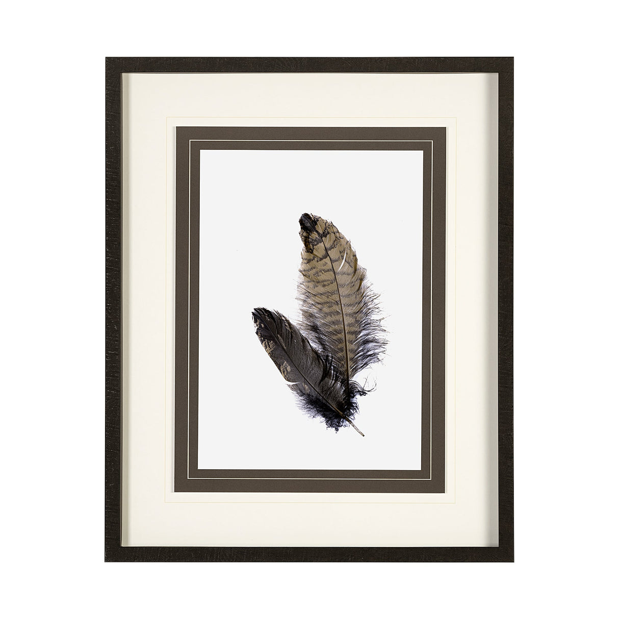 Feathered Friends by Nancy Crowell a Framed Art Print Matted under Glass by Mercana at Eve Furniture