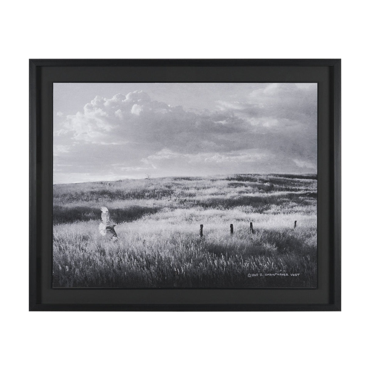 Fence Line Flight I by R. Christopher Vest Textured FramedPhoto Print Matted under Glass by Mercana at Eve Furniture
