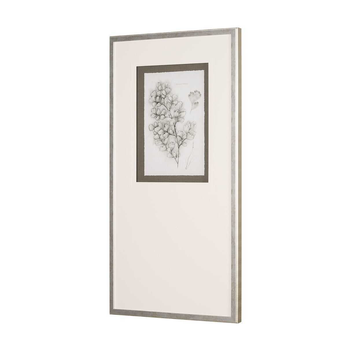 Fern Study IV (Capillus Veneris) Mercana Studio Hand Embelished Framed Art Print Matted under Glass by Mercana at Eve Furniture