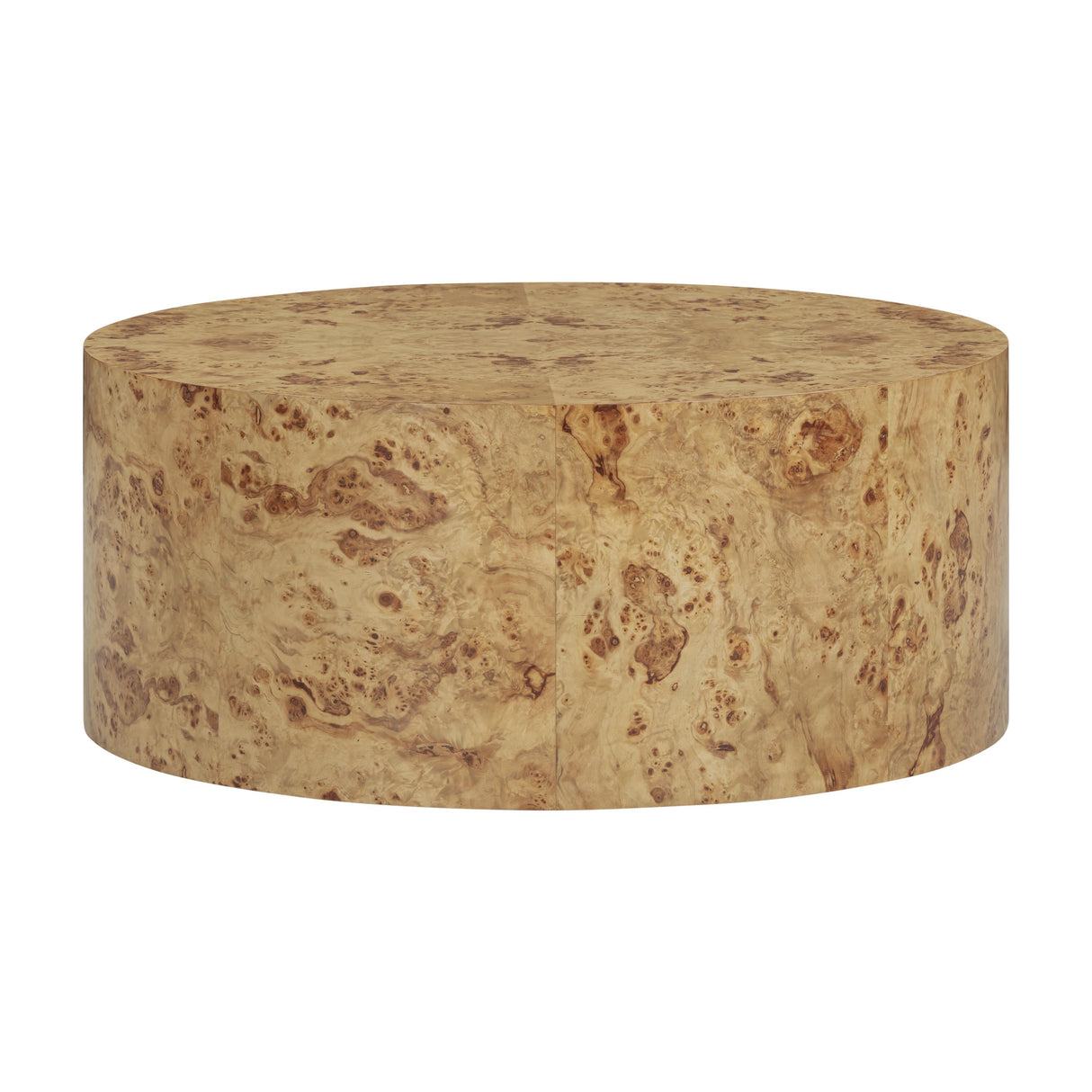 Fig Natural Burl Drum Coffee Table by TOV Furniture at Eve Furniture