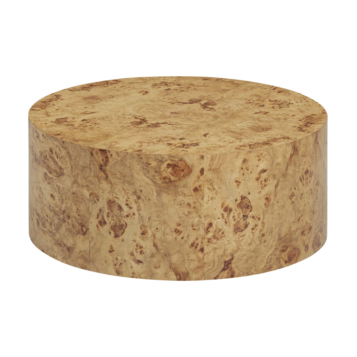 Fig Natural Burl Drum Coffee Table by TOV Furniture at Eve Furniture