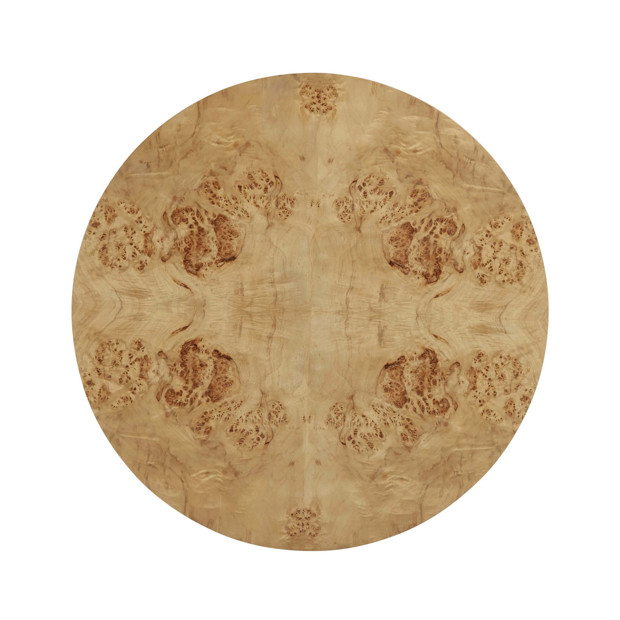 Fig Natural Burl Drum Coffee Table by TOV Furniture at Eve Furniture