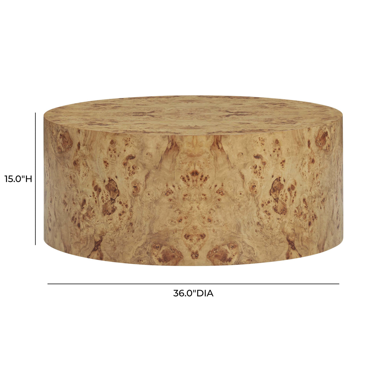 Fig Natural Burl Drum Coffee Table by TOV Furniture at Eve Furniture