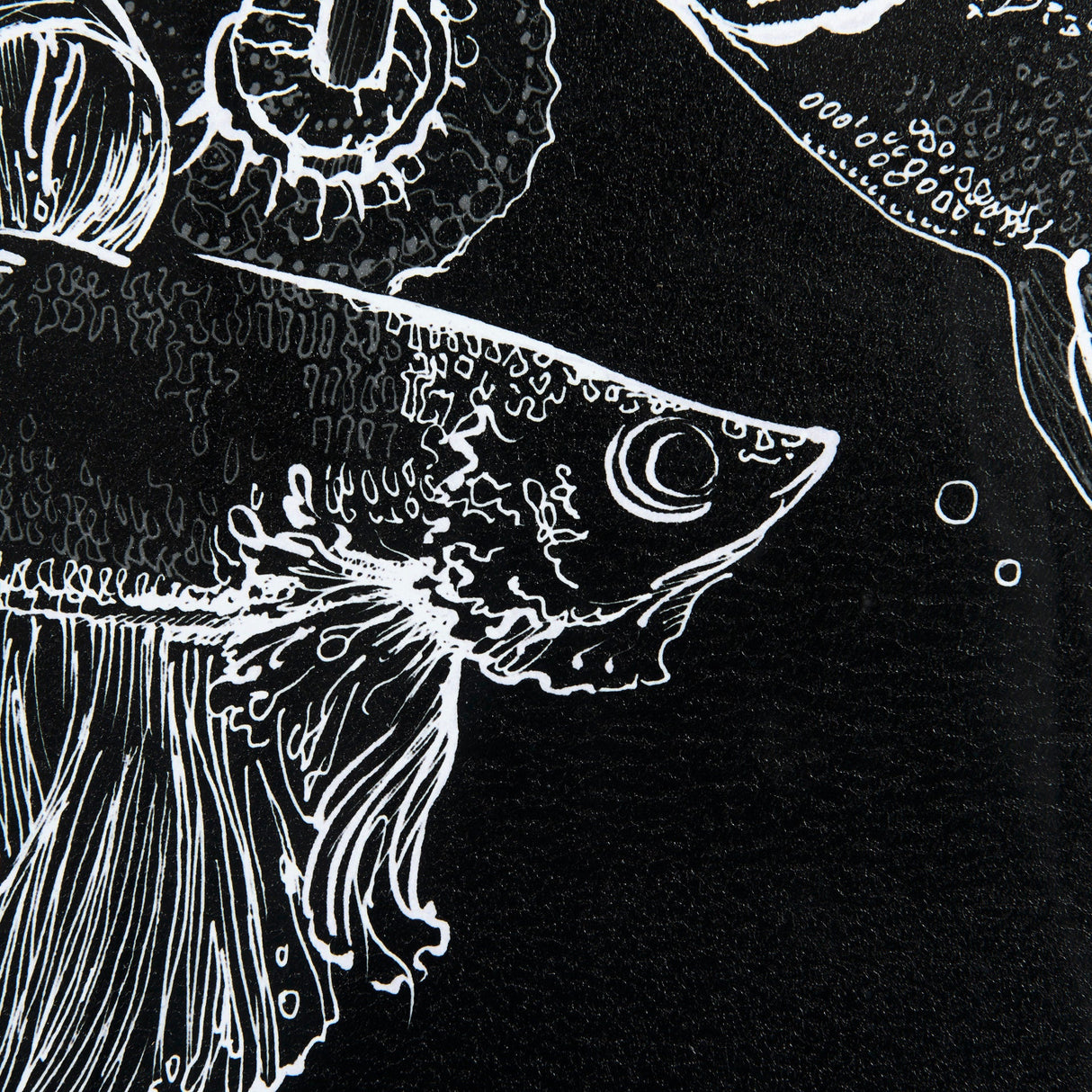 Fish Black by Mercana Studio a Hand Embellished Textured Framed Art Print Matted under Glass by Mercana at Eve Furniture