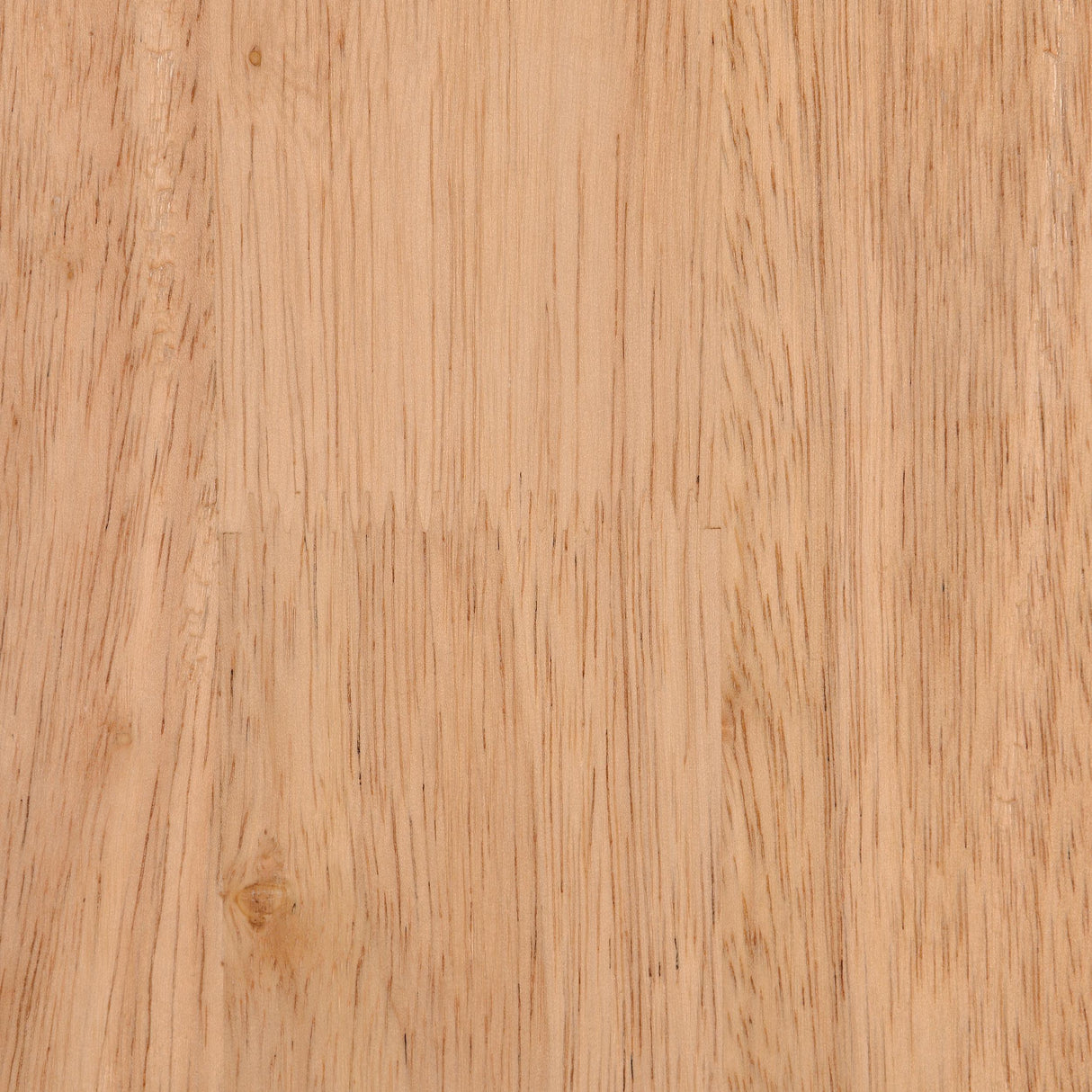 Fitzroy Ivory Boucle Upholstered Accent Arm Chair by Coaster at Eve Furniture