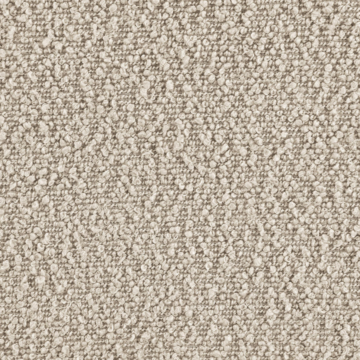 Fitzroy Latte Boucle Upholstered Accent Arm Chair by Coaster at Eve Furniture