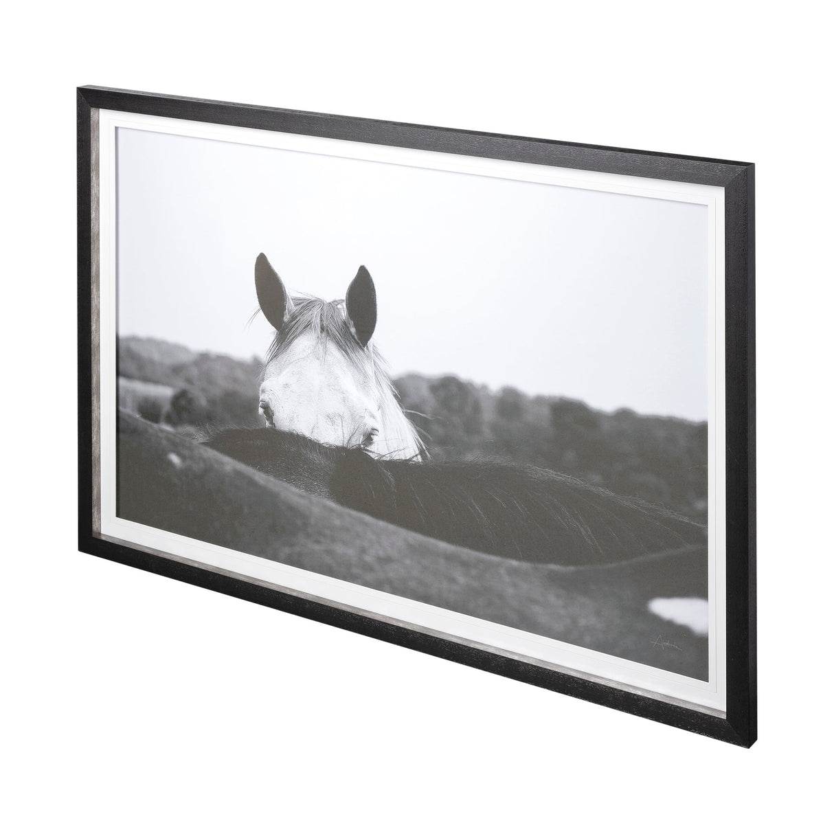 Flirt by Aledanda a Framed Photo Art Print Matted under Glass by Mercana at Eve Furniture