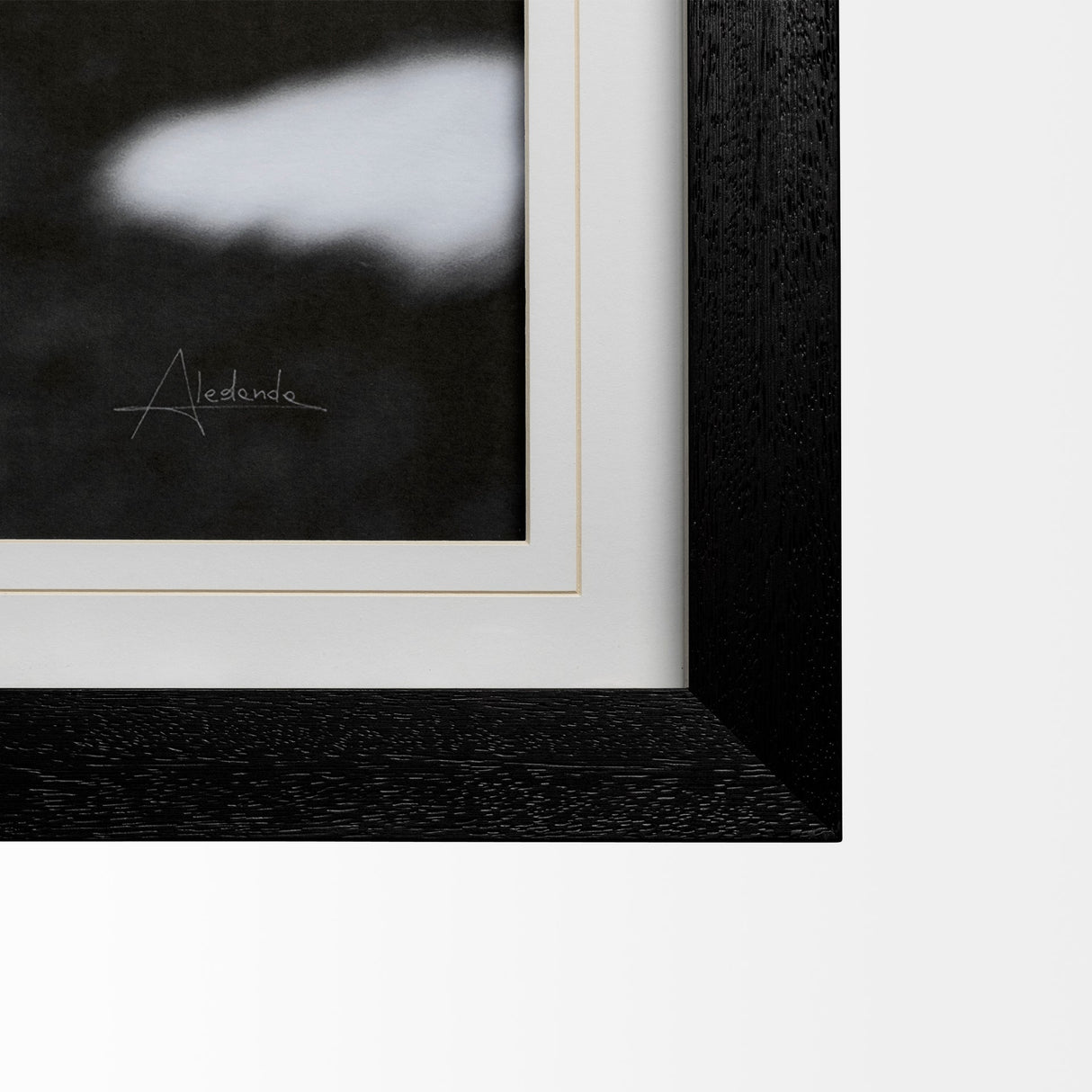Flirt by Aledanda a Framed Photo Art Print Matted under Glass by Mercana at Eve Furniture