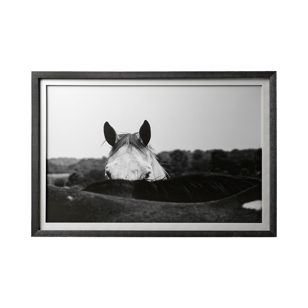 Flirt by Aledanda a Framed Photo Art Print Matted under Glass by Mercana at Eve Furniture