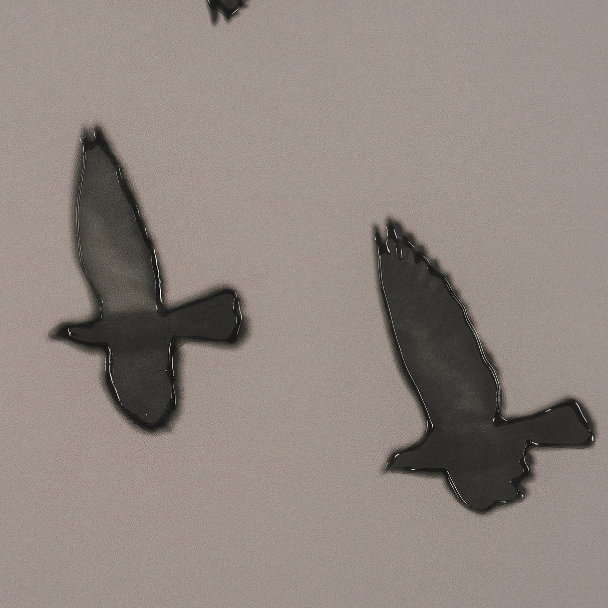 Flock I by Nathan Larson a Hand Embellished Framed Photo Print under Glass by Mercana at Eve Furniture