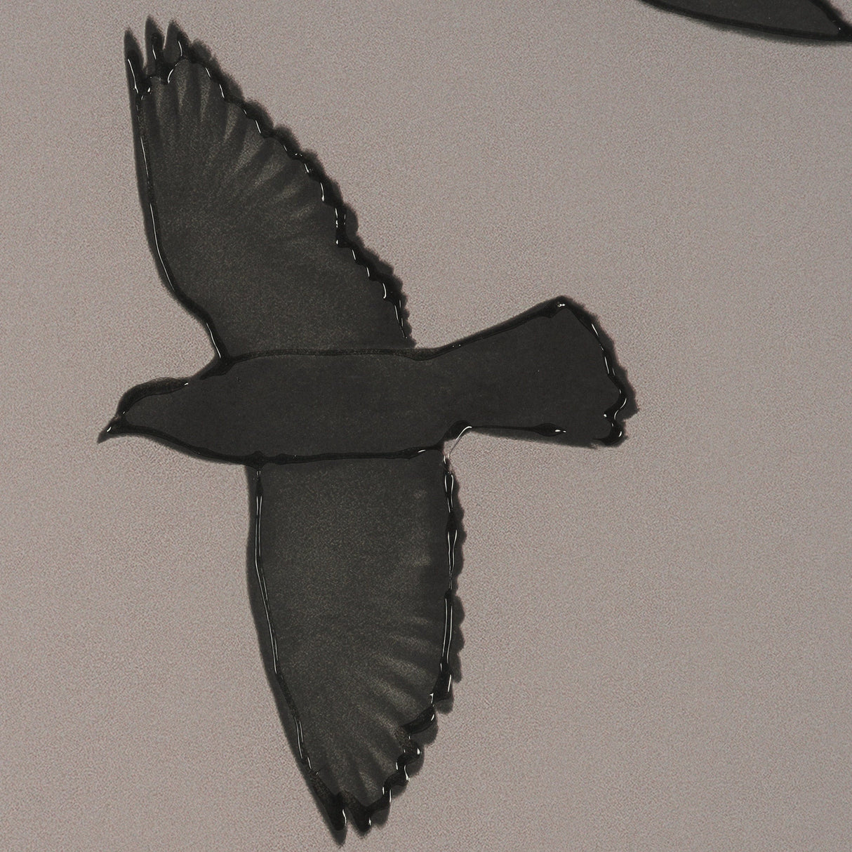 Flock I by Nathan Larson a Hand Embellished Framed Photo Print under Glass by Mercana at Eve Furniture