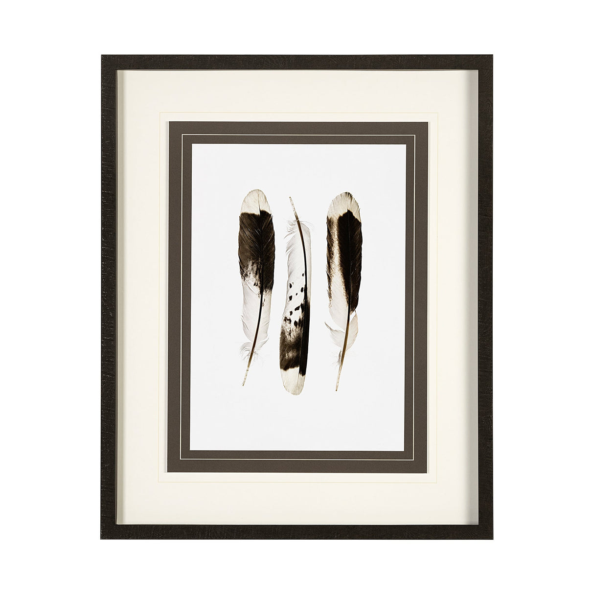 Flock together by Nancy Crowell a Framed Art Print Matted under Glass by Mercana at Eve Furniture
