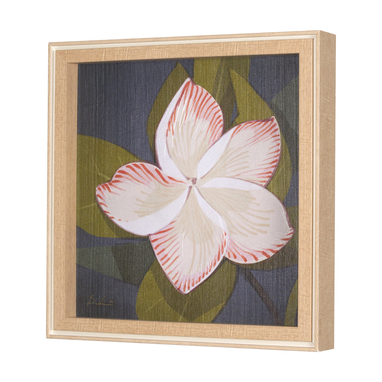 Flower Portrait III (FRANGIPANI) by Mercana Studio a Hand Embellished Textured Framed Art Print by Mercana at Eve Furniture