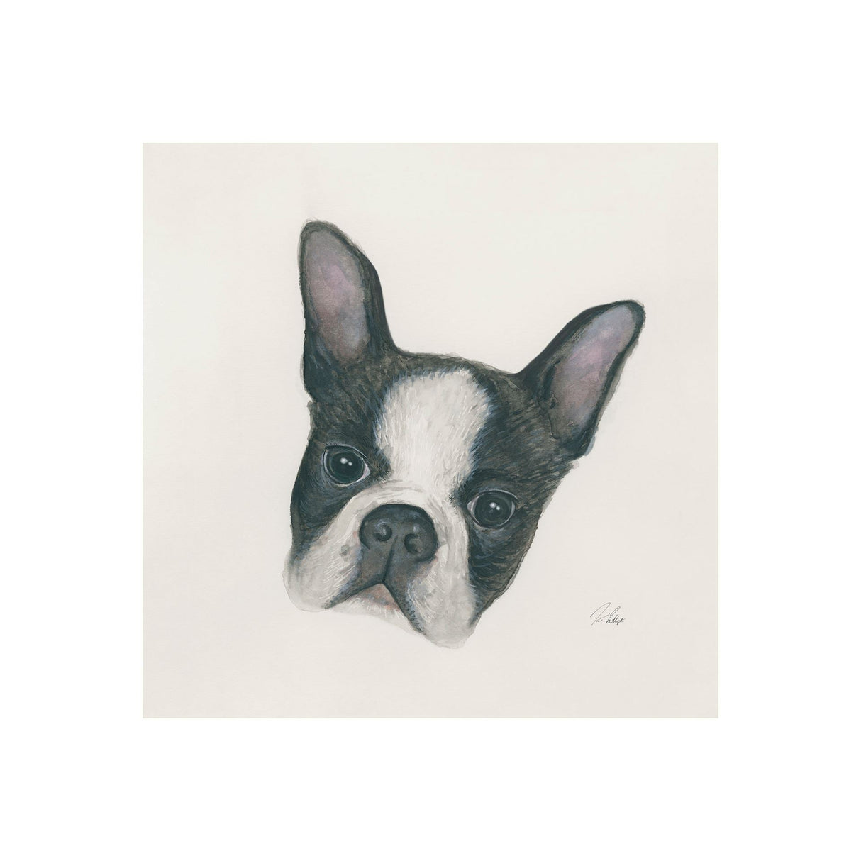 Floyd (Boston Terrier 1) by Mercana Studio a Hand Embellished Textured Canvas by Mercana at Eve Furniture