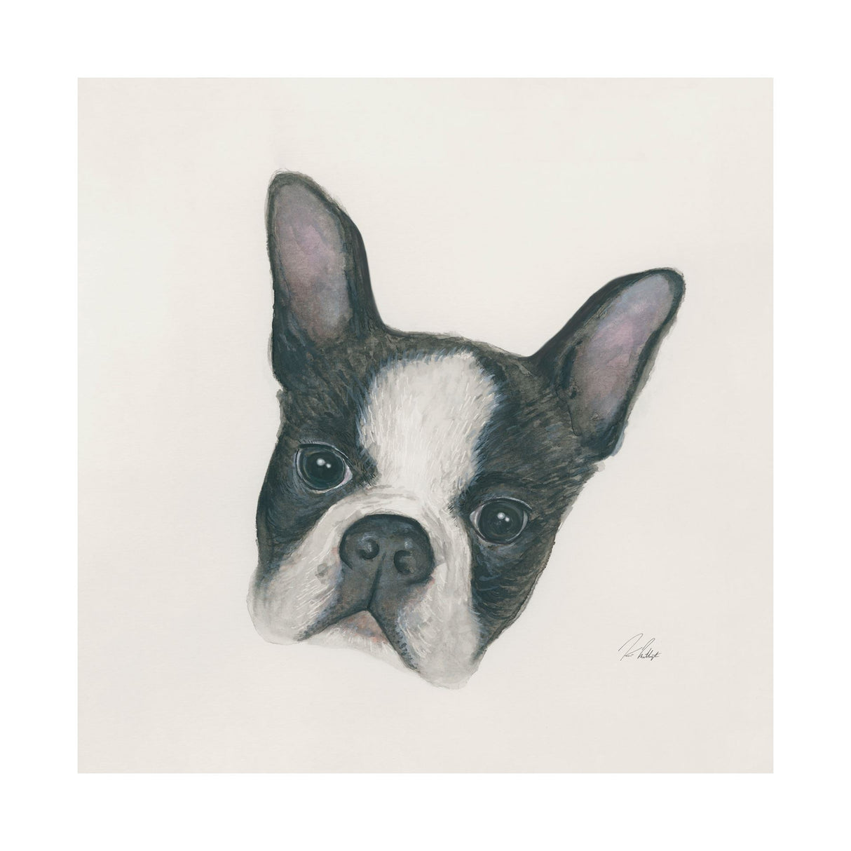 Floyd (Boston Terrier 1) by Mercana Studio a Hand Embellished Textured Canvas by Mercana at Eve Furniture