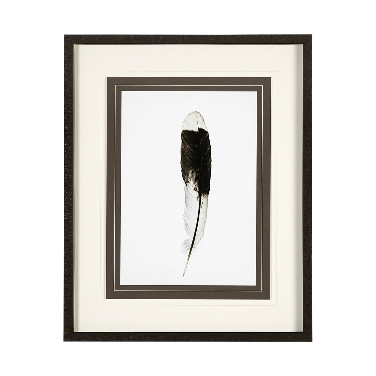 Flying solo by Nancy Crowell a Framed Art Print Matted under Glass by Mercana at Eve Furniture