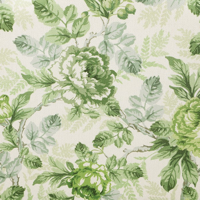 Hemsworth Seaside Cabbage Rose Green/White Accent Chair
