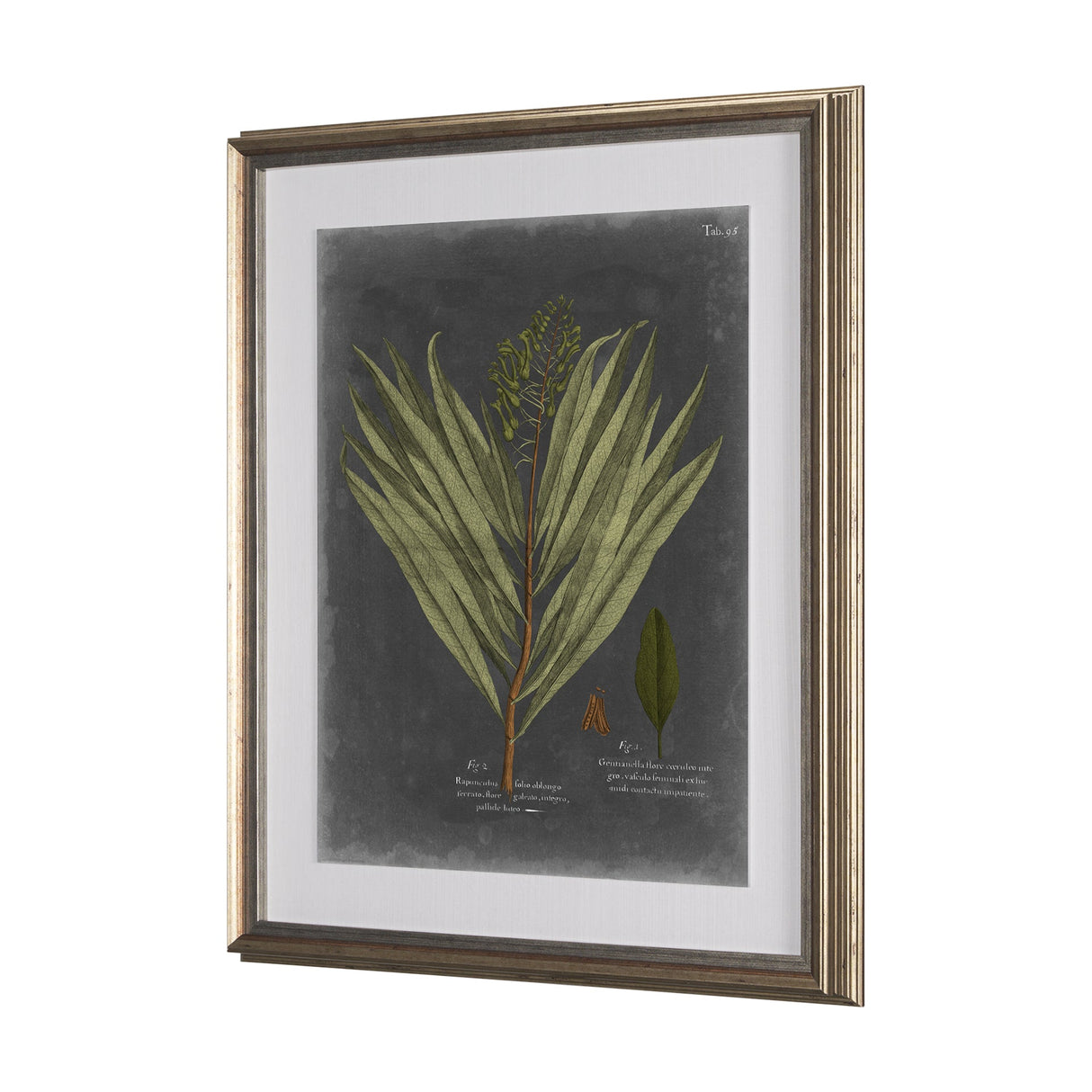 Foliage Dramatique II by Vision Studio Hand Embellished Textured Framed Art Print Matted under Glass by Mercana at Eve Furniture