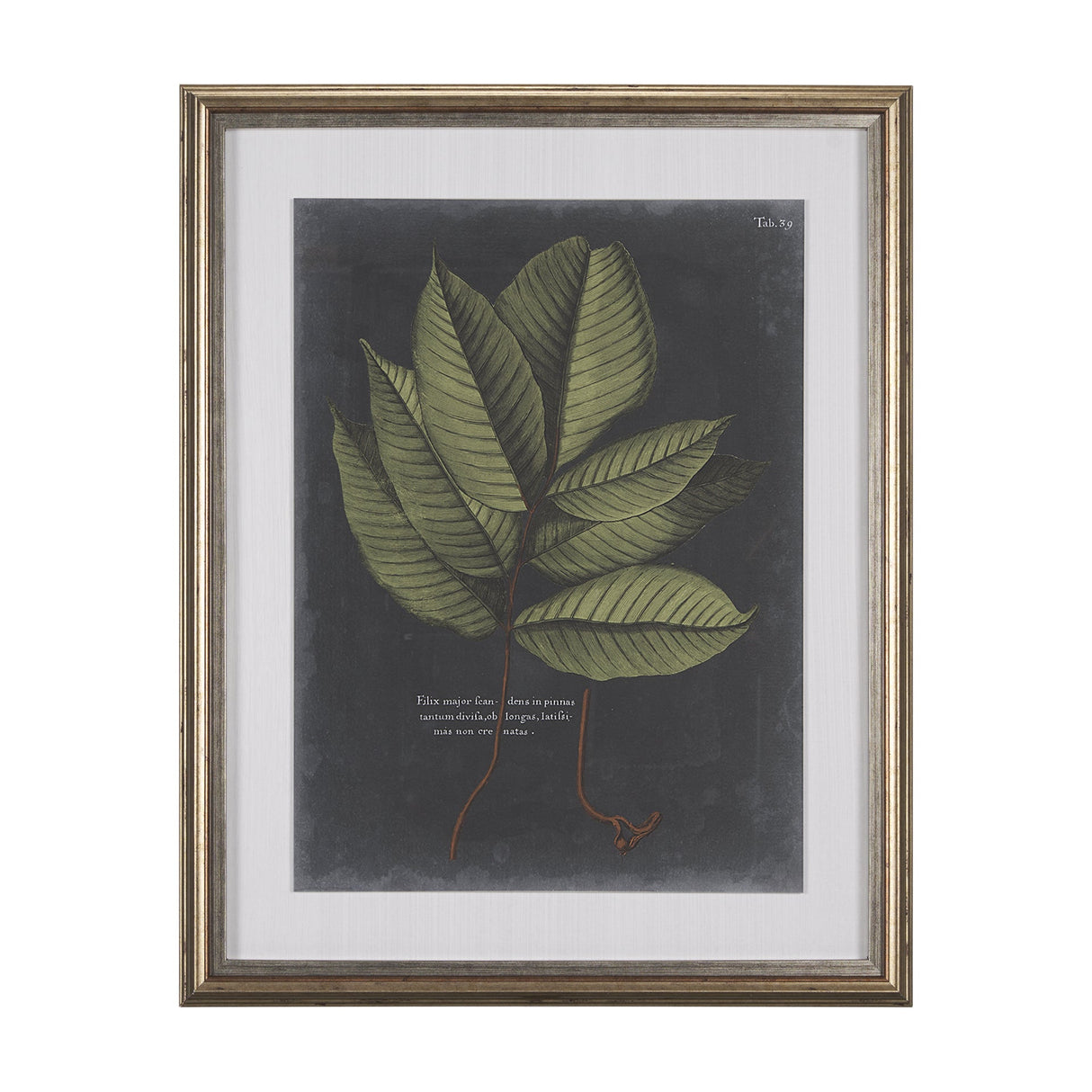 Foliage Dramatique III by Vision Studio Hand Embellished Textured Framed Art Print Matted under Glas by Mercana at Eve Furniture