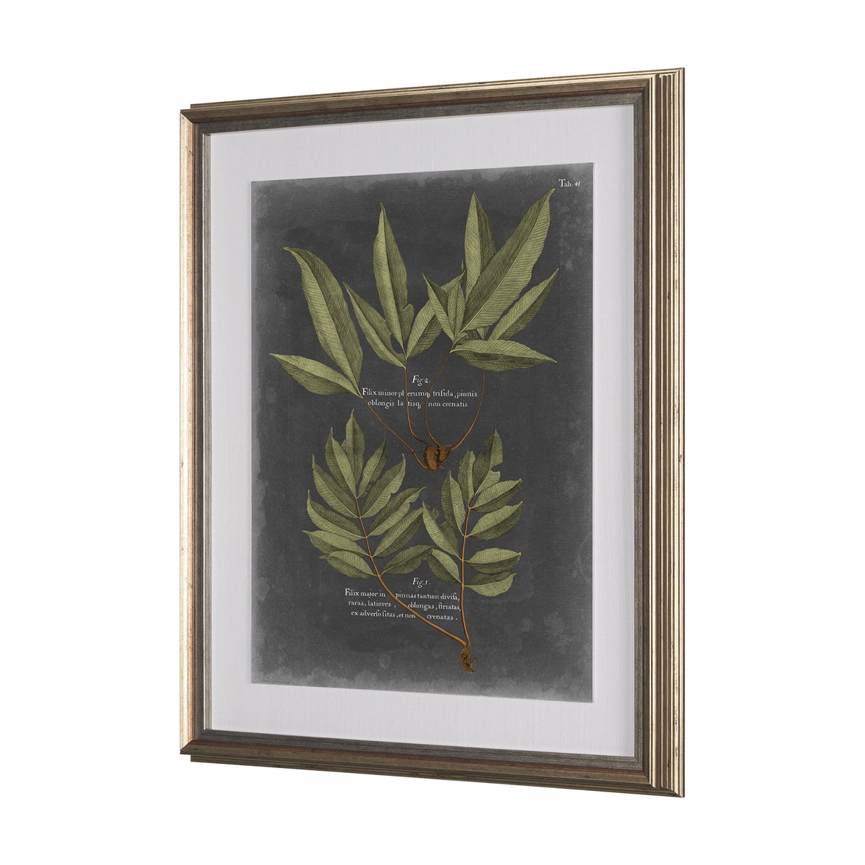 Foliage Dramatique IV by Vision Studio Hand Embellished Textured Framed Art Print Matted under Glass by Mercana at Eve Furniture