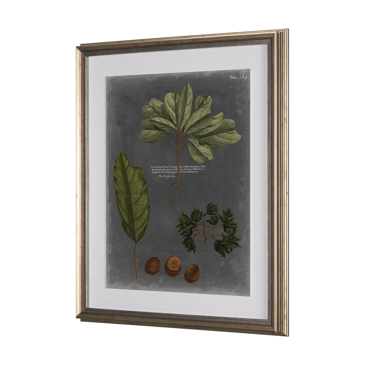Foliage Dramatique VI by Vision Studio Hand Embellished Textured Framed Art Print Matted under Glass by Mercana at Eve Furniture