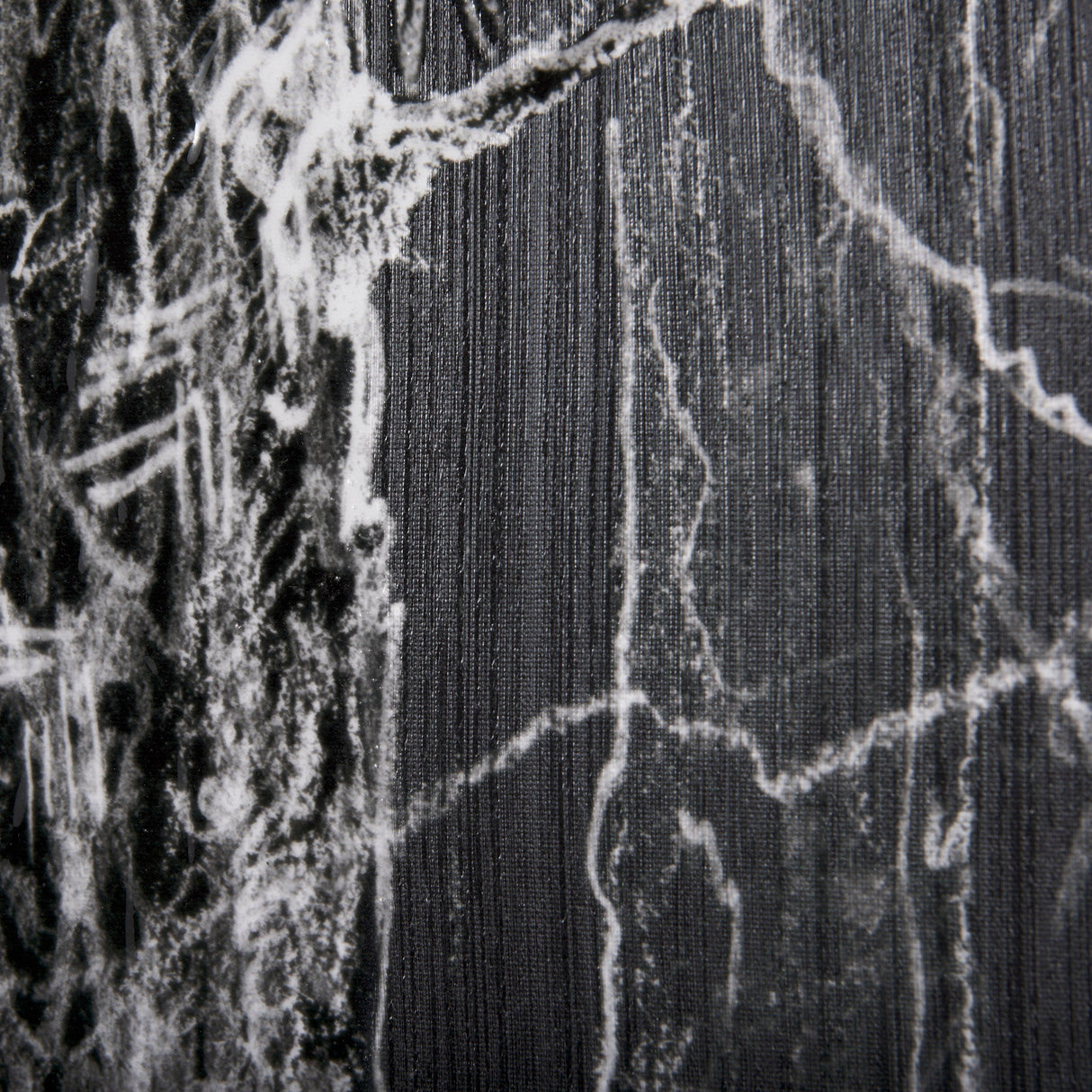 Forest BW II by Ariana a Hand Embellished Textured Canvas by Mercana at Eve Furniture