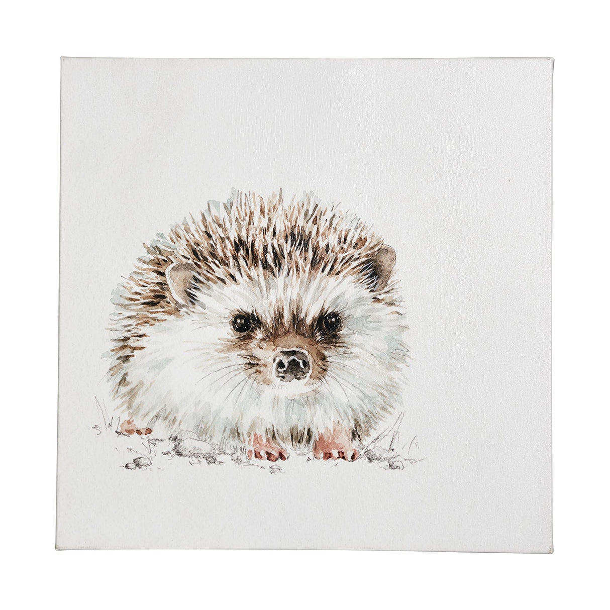 Forest Friends VII (Hedgehog) by Lisa Audit a Hand Embellished Textured Canvas by Mercana at Eve Furniture