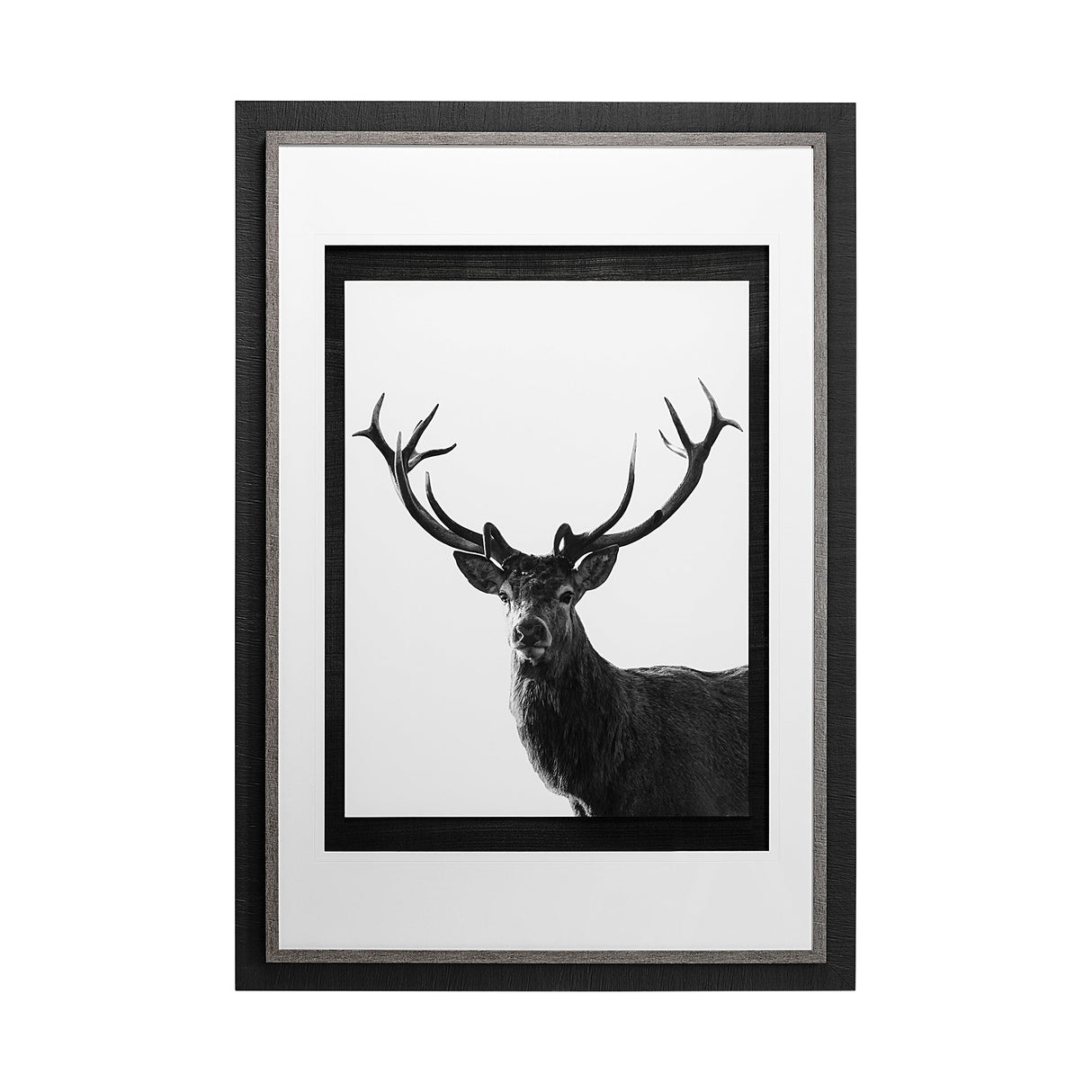 Forest Royal Grand by Matthew Roseveare Hand Embelished Textured Framed Art Photo Matted under Glass by Mercana at Eve Furniture