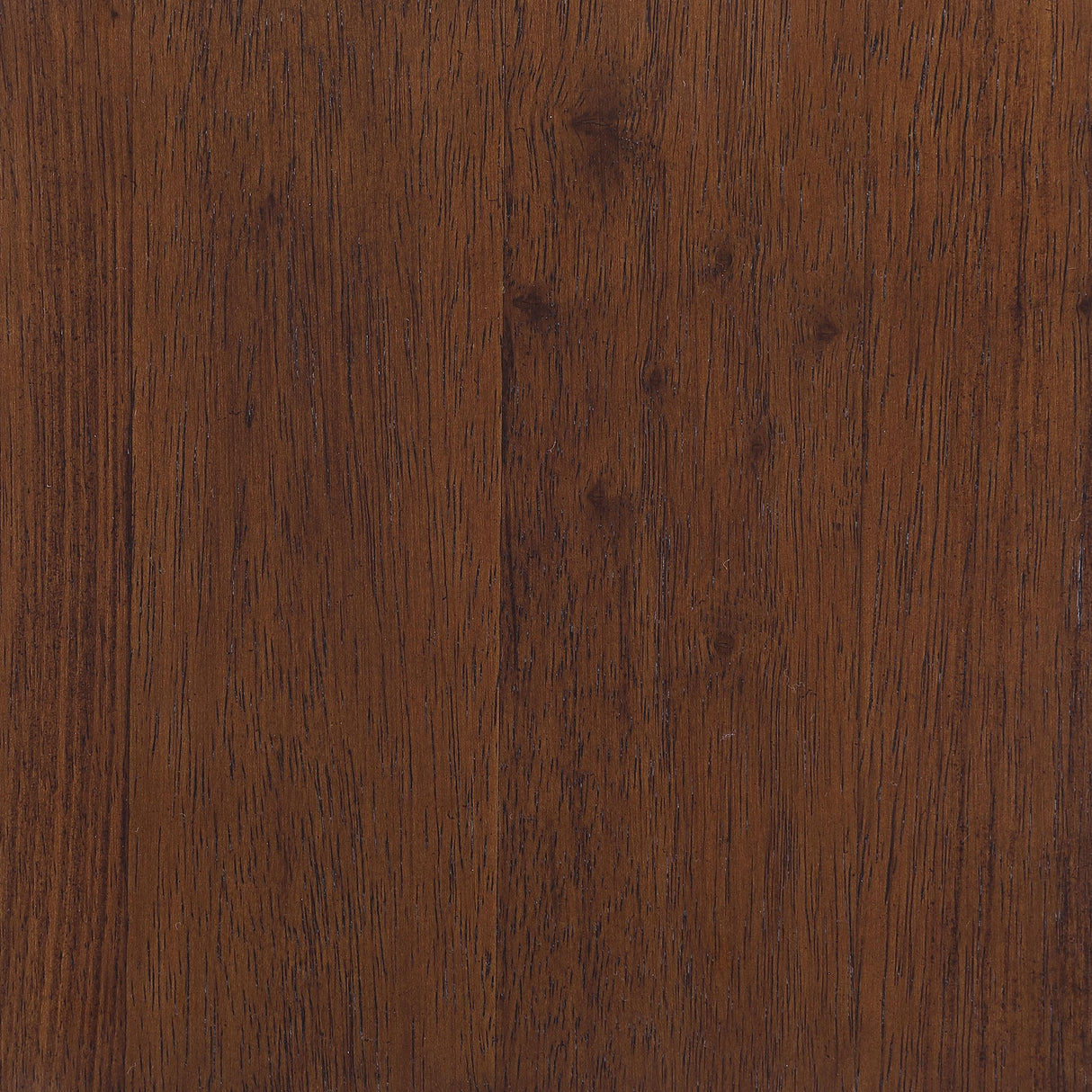 Foster Honey Upholstered Wood Frame Accent Chair by Coaster at Eve Furniture