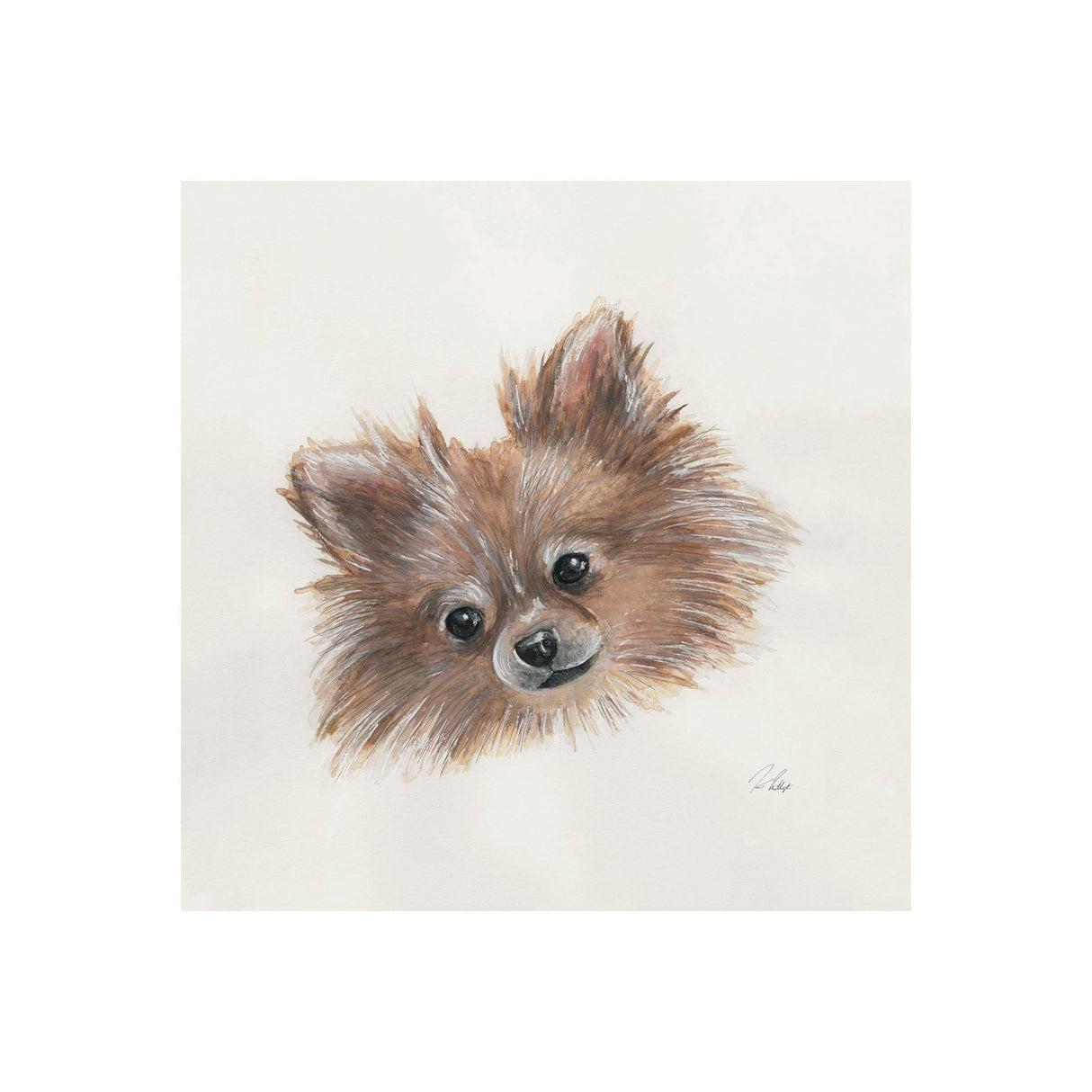Frankie (Pomeranian 1) by Mercana Studio a Hand Embellished Textured Canvas by Mercana at Eve Furniture