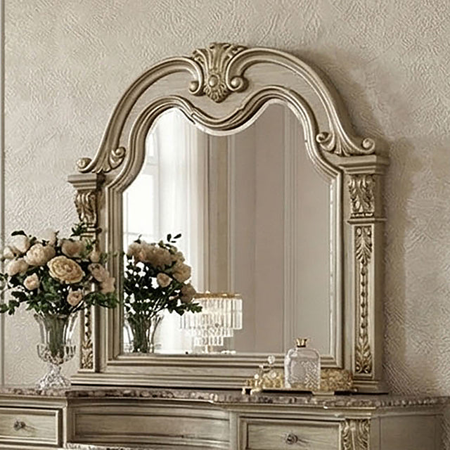 Fromberg Gold Champagne Mirror by Furniture of America at Eve Furniture