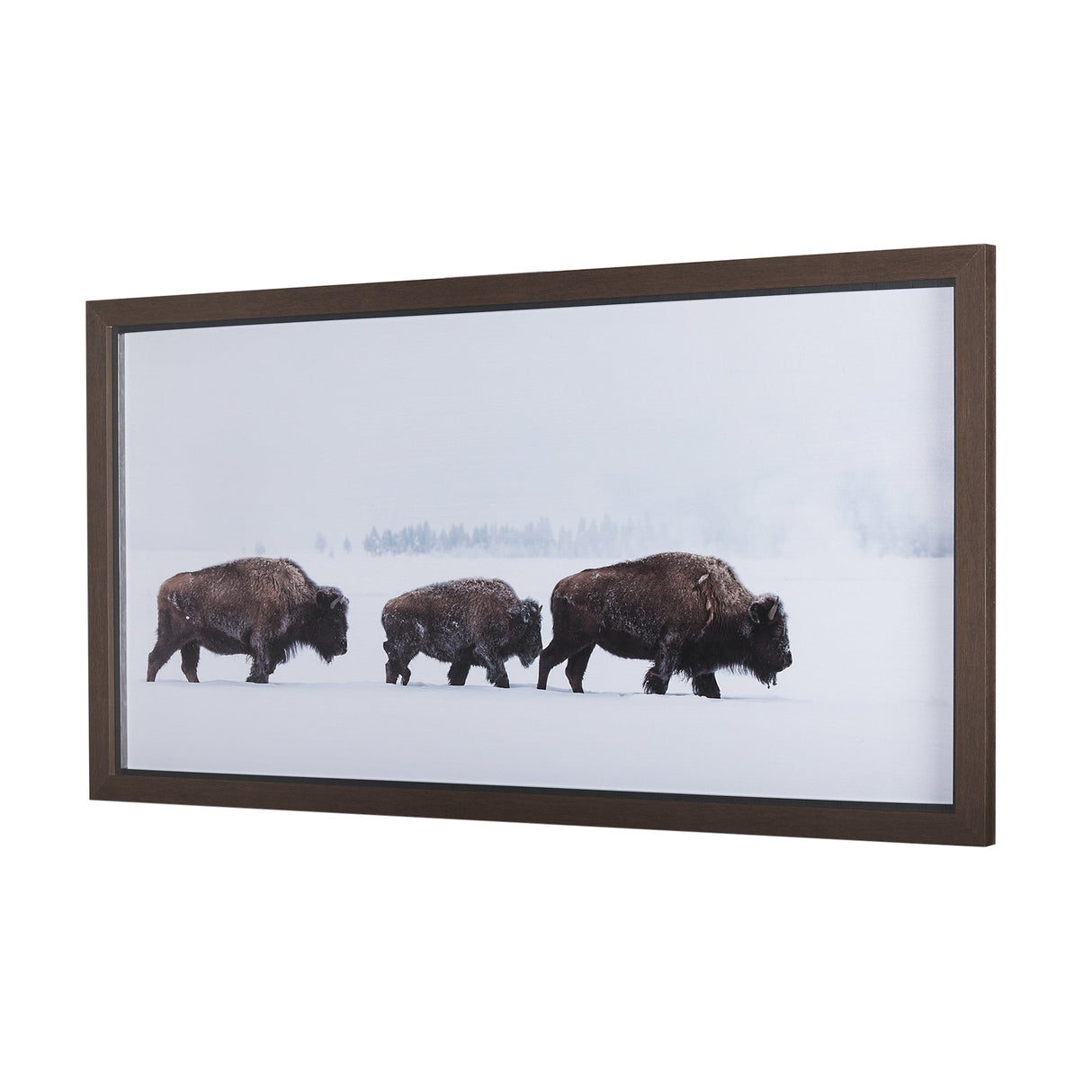 Frozen Trek by Mercana Studio a Hand Embellished Textured Framed Photo Art Print Matted under Glass by Mercana at Eve Furniture