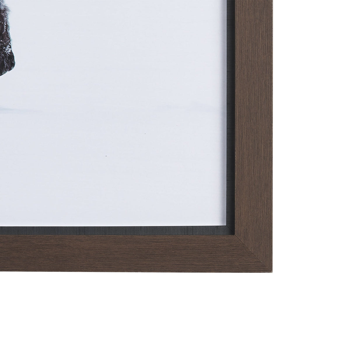 Frozen Trek by Mercana Studio a Hand Embellished Textured Framed Photo Art Print Matted under Glass by Mercana at Eve Furniture