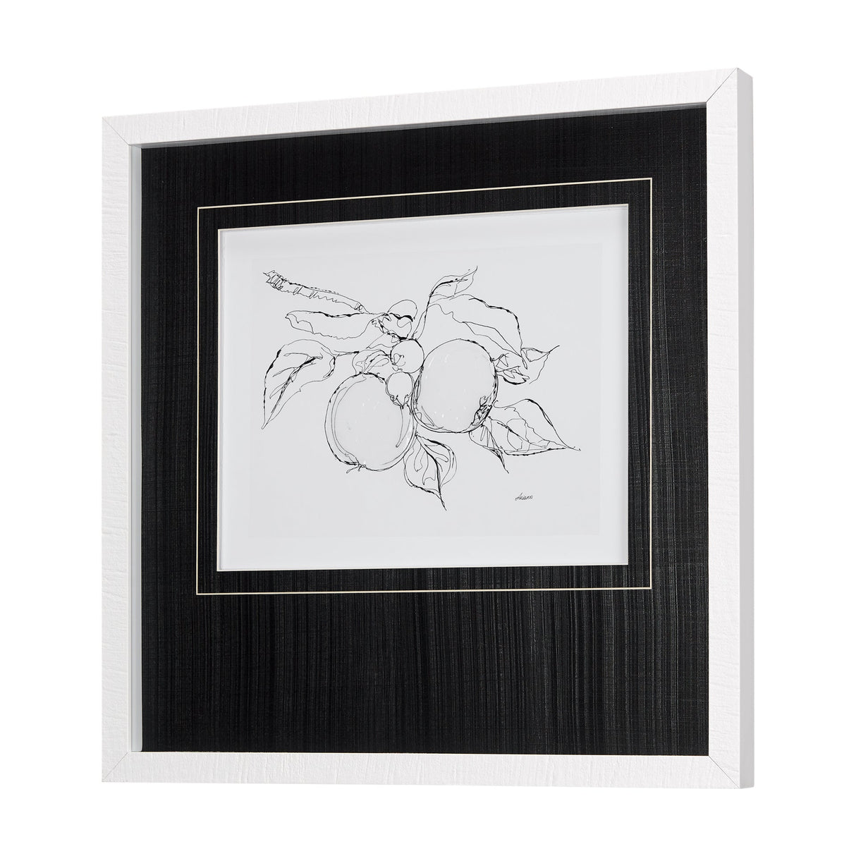 Fruit Sketch Apple by Mercana Studio a Hand Embellished Textured Framed Art Print Matted under Glass by Mercana at Eve Furniture