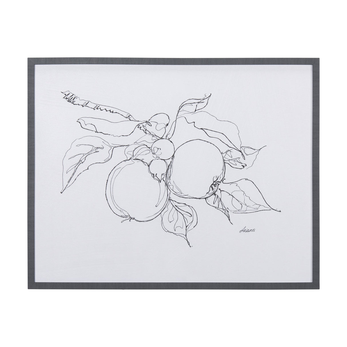 Fruit Sketch Apple by Mercana Studio a Hand Embellished Textured Framed Art Print by Mercana at Eve Furniture