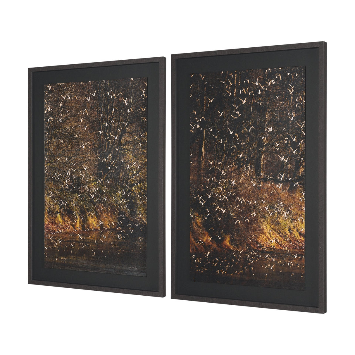 Gilded Flight by Chad Mackay Textured Framed Photo Print Matted under Glass (Set of 2) by Mercana at Eve Furniture