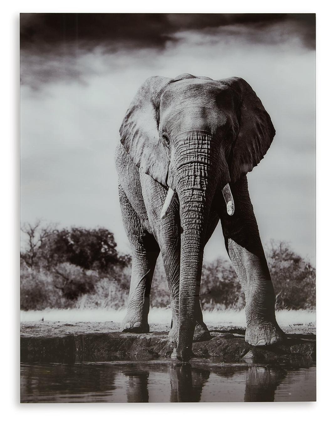 Glinyard Black/White Wall Art by Ashley at Eve Furniture