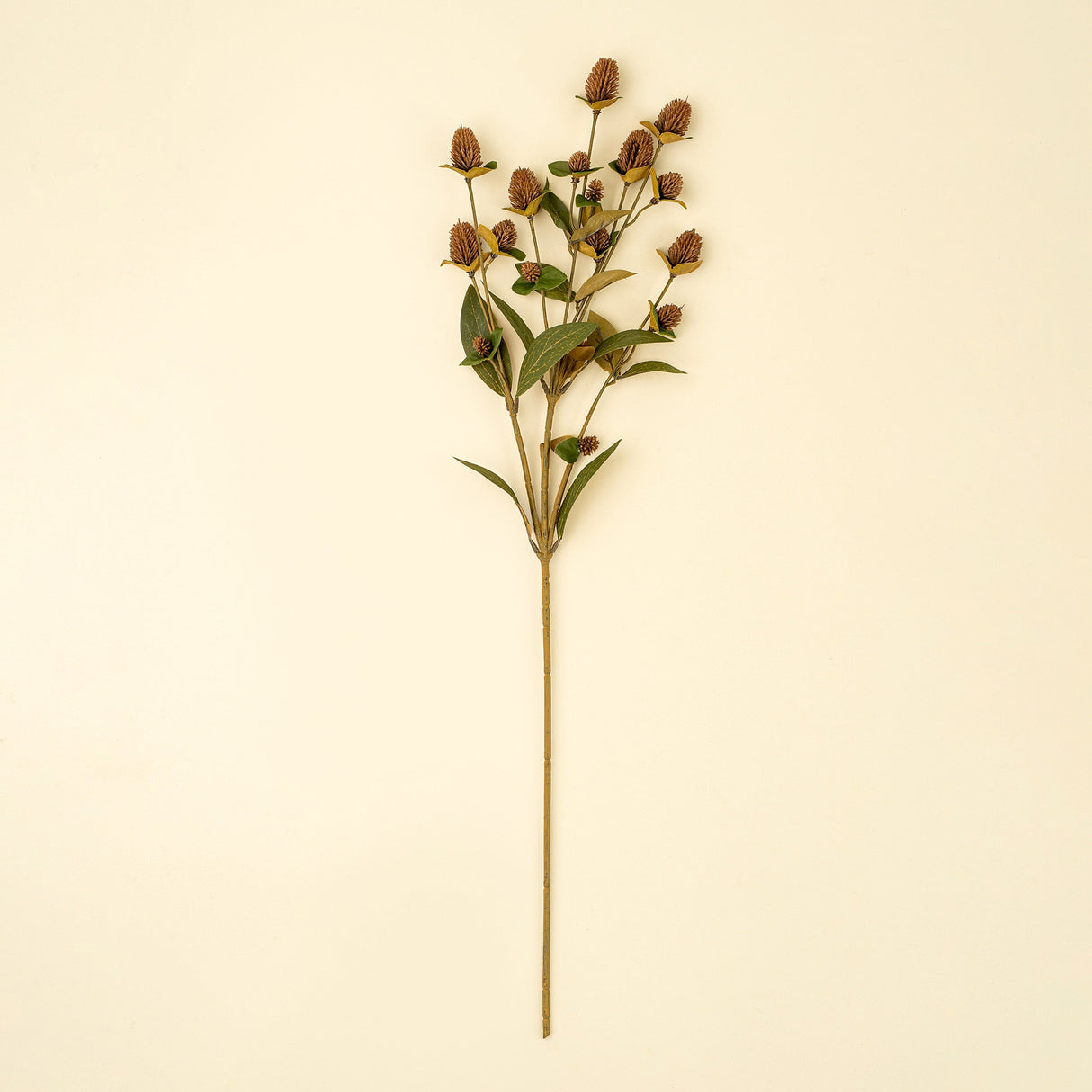 Globe Amaranth Spray, Set of 24 by Mercana at Eve Furniture