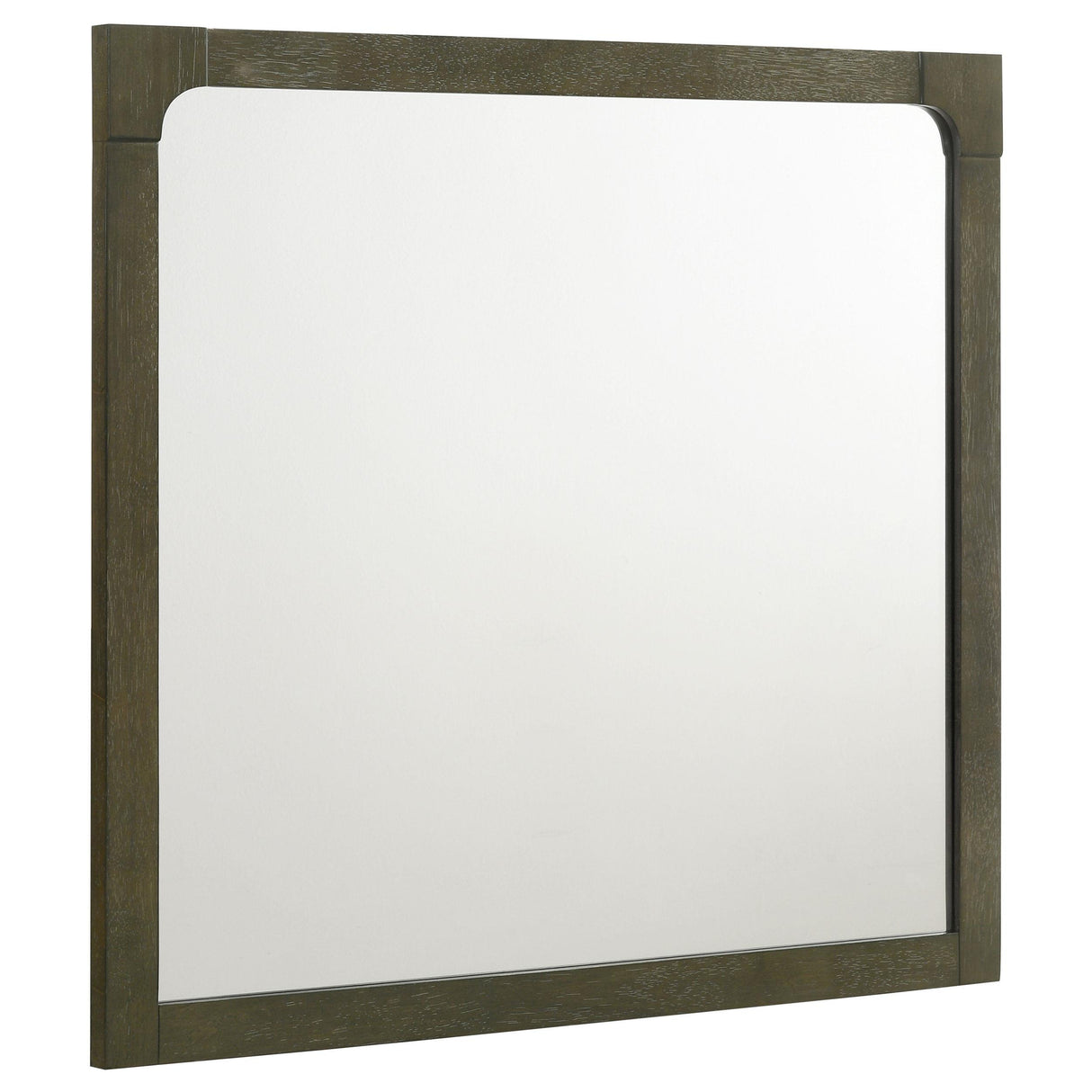 Gran Park Dark Cocoa Dresser Mirror by Coaster at Eve Furniture