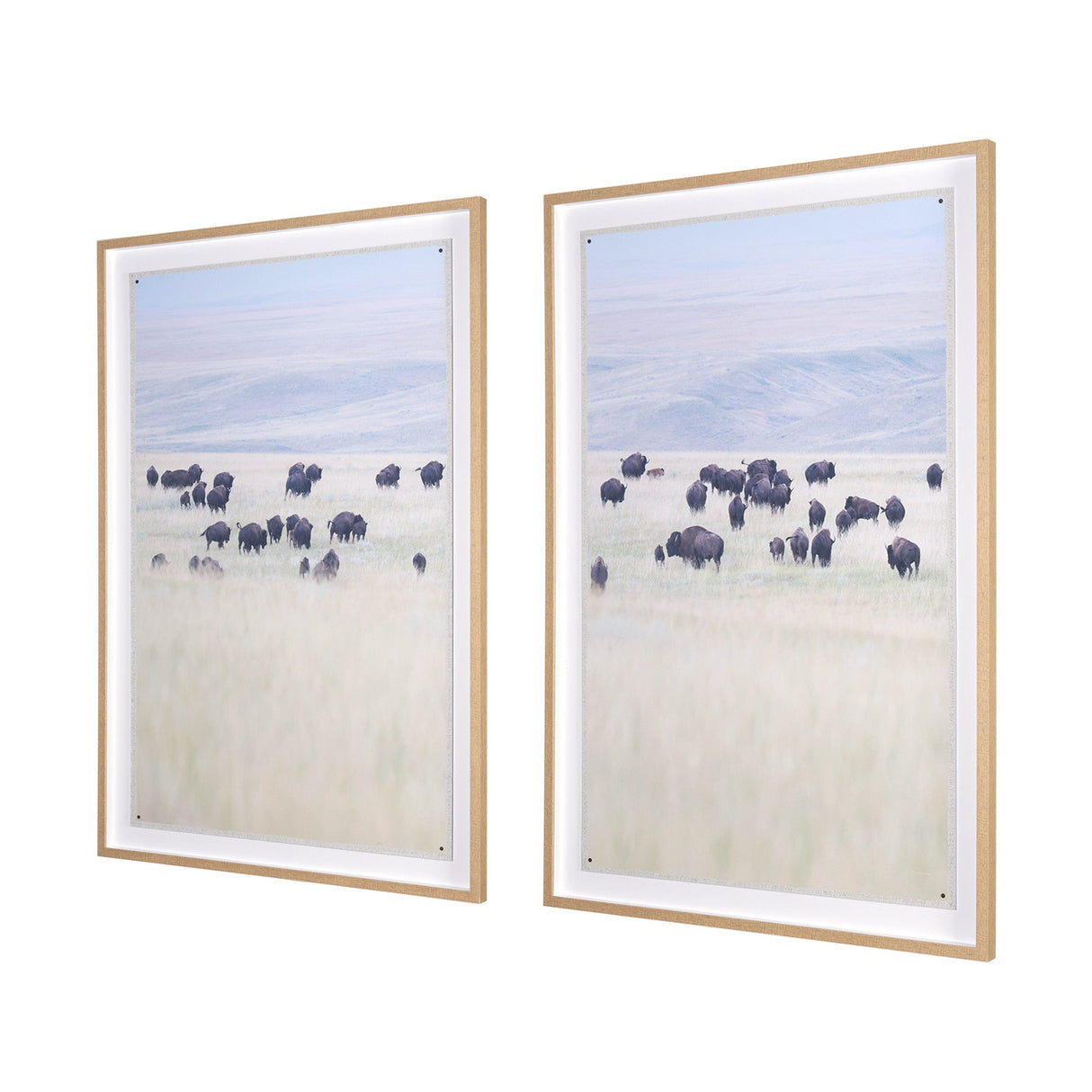 Grazing Herd (Set of 2) by Chad Mackay a Framed Photo Art Print Matted under Glass by Mercana at Eve Furniture