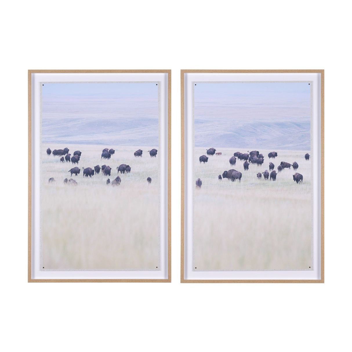 Grazing Herd (Set of 2) by Chad Mackay a Framed Photo Art Print Matted under Glass by Mercana at Eve Furniture